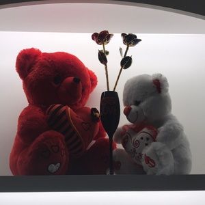 Meet your Posher, Bibi